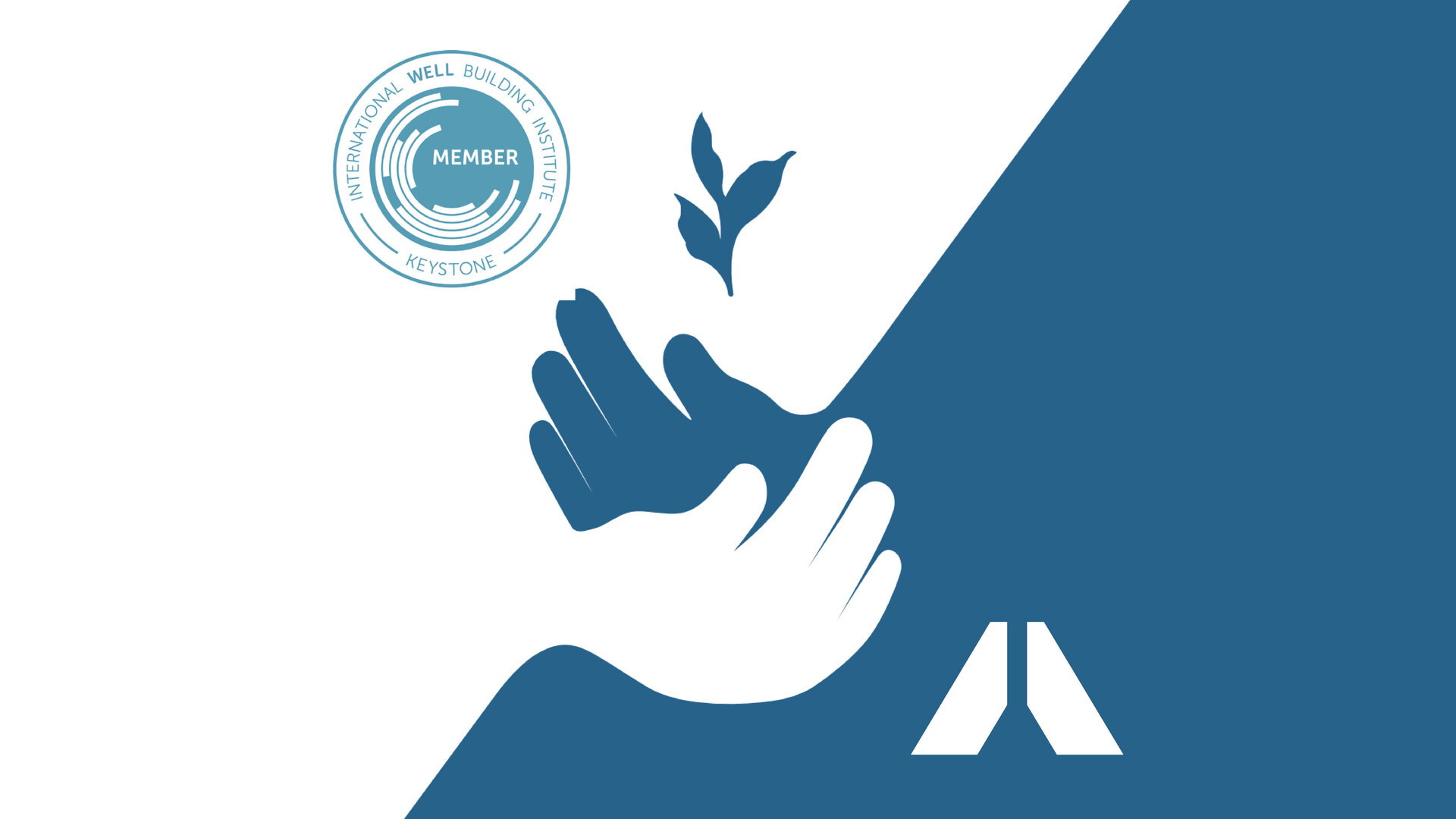 WELL Building Institute, WELL certification, sustainability,  WELL Building Institute member, keystone